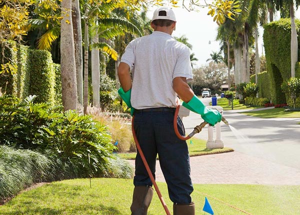 About East Templeton MA Pest Control Pros